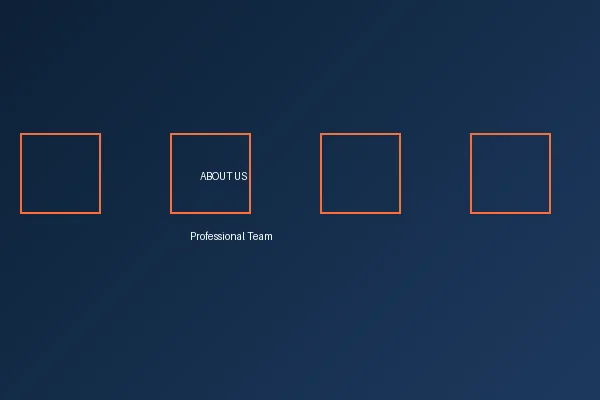 ng体育专业团队合影